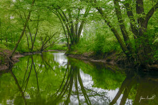 Green River