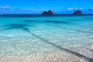 Island Dreams