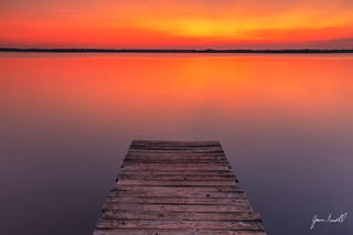 Meditate