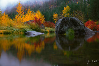 Mirror Mirror In The Fall