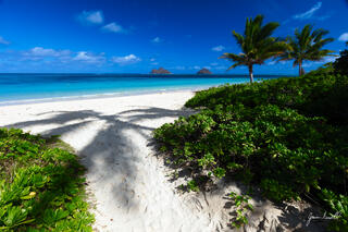 Path to Paradise