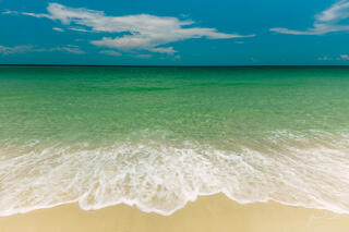 Summer Dreams