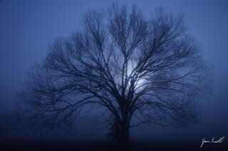 Who is Peter Lik? His life, wealth, and fine art photography