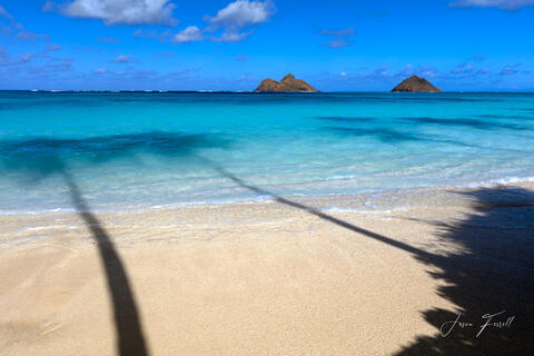 Hawaii Fine Art Photography | Tropical Paradise