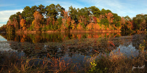Autumn Splendor