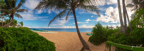 Beyond Paradise
