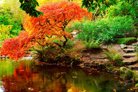 On Golden Pond