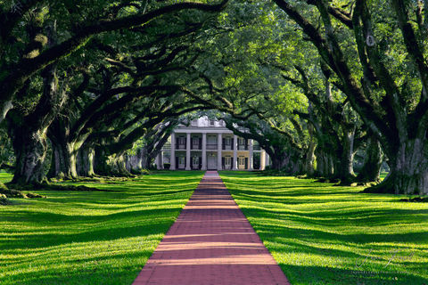 Southern Charm