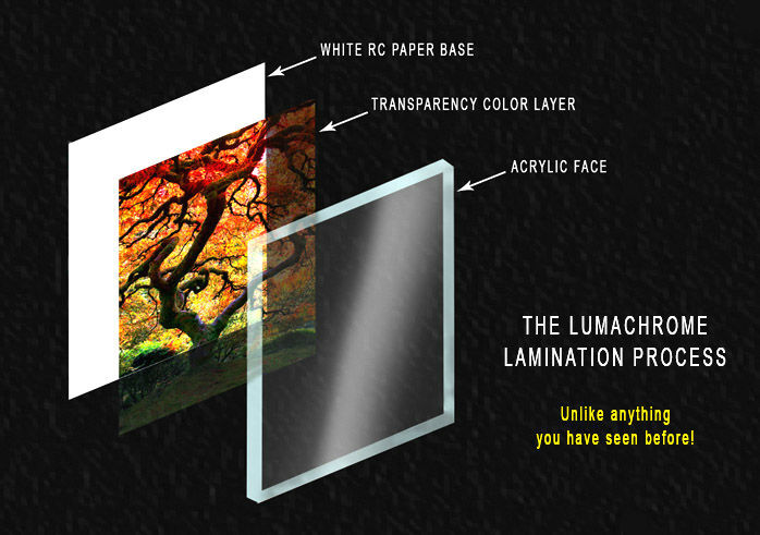 lumachrome, fine art, acrylic, process, nevada art printers