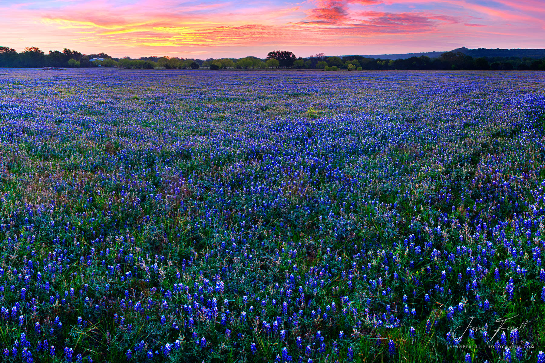 As an extension of Lady Bird Johnson's efforts at highway beautification in the United States (see Highway Beautification Act...