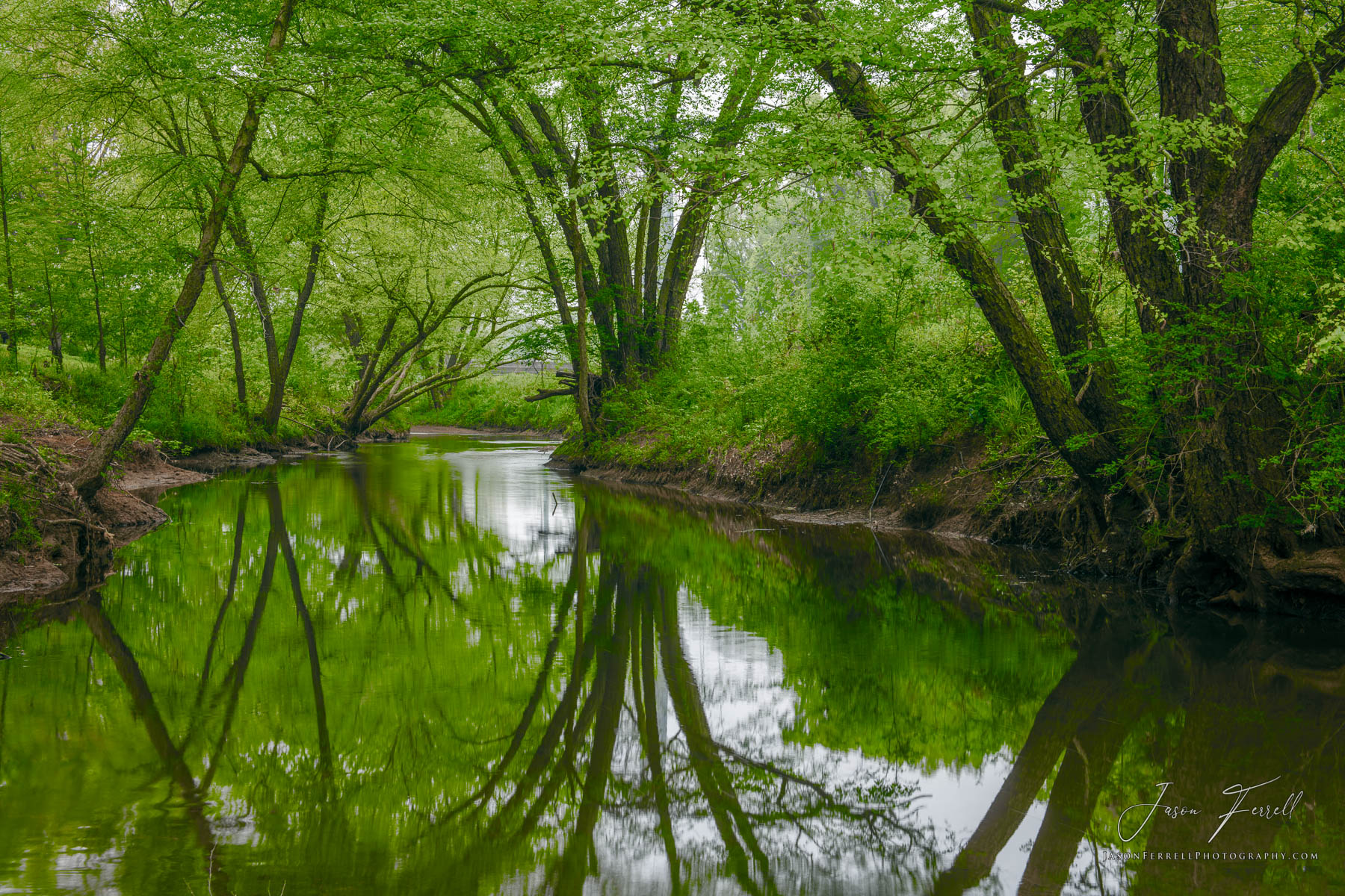 A bayou is a body of water typically found in a flat, low-lying area, and can be either an extremely slow-moving stream or river...