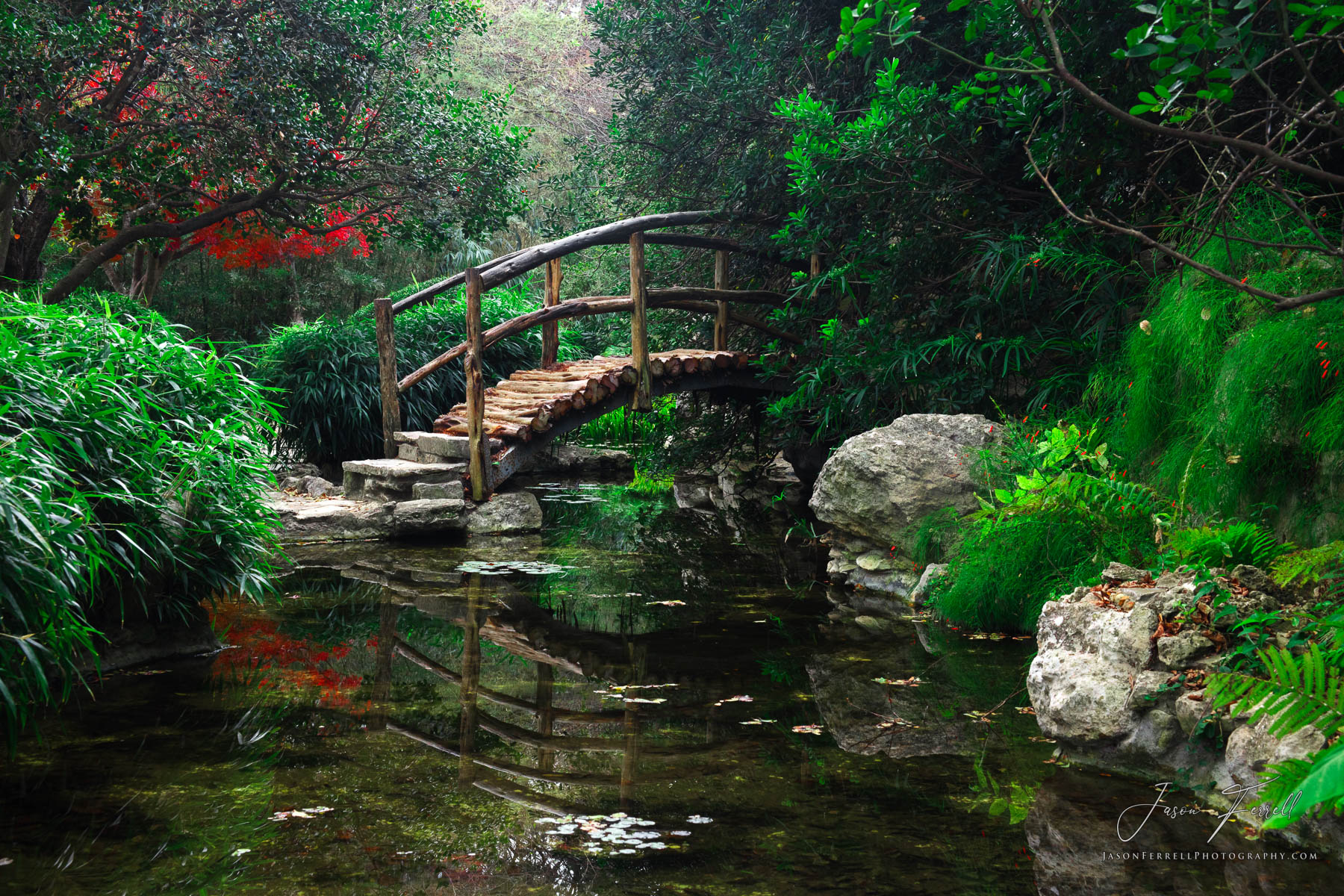 The Zilker Botanical Garden&nbsp;is a botanical garden of varied topography located on the south bank of the Colorado River at...