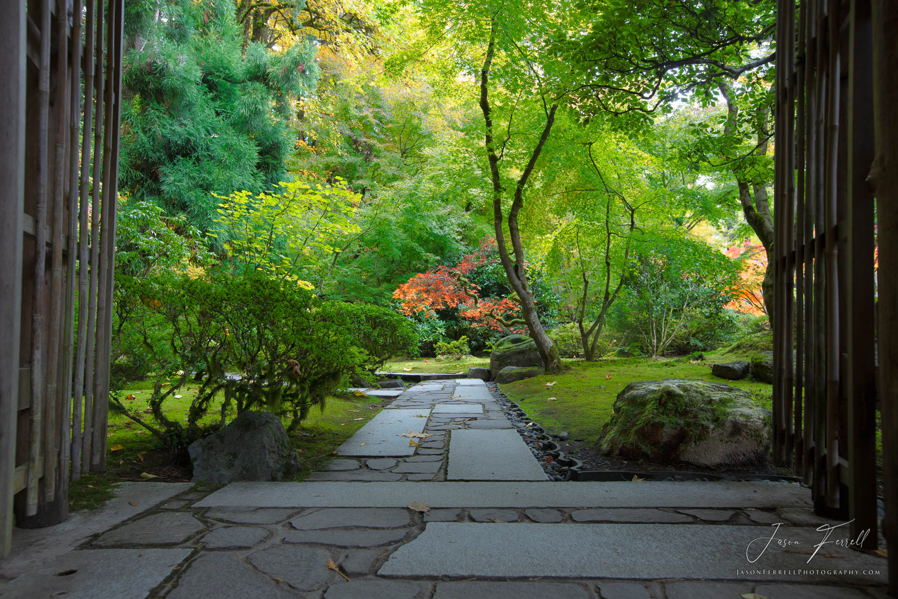 Three of the essential elements used to create a japanese garden are stone, the "bones" of the landscape; water, the life-giving...