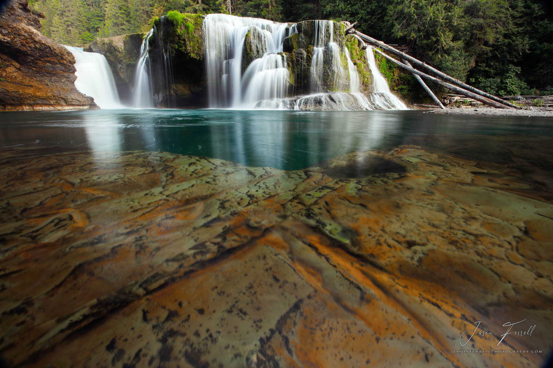 The Lewis River rises in the Cascades in northeastern Skamania County, high on the west flank of Mount Adams, approximately 75...