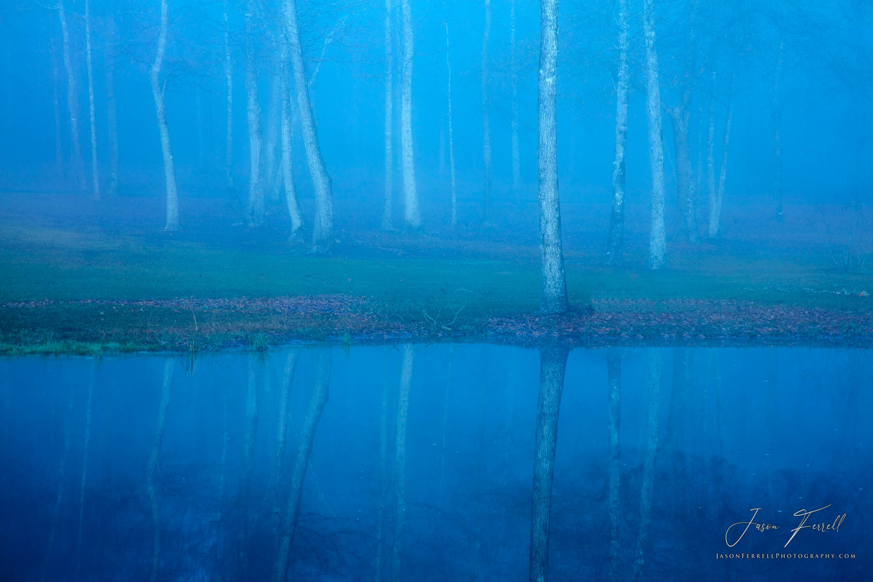 A foggy morning combined with no wind allowed this calm forest scene to come together.&nbsp; Every little movement of my camera...